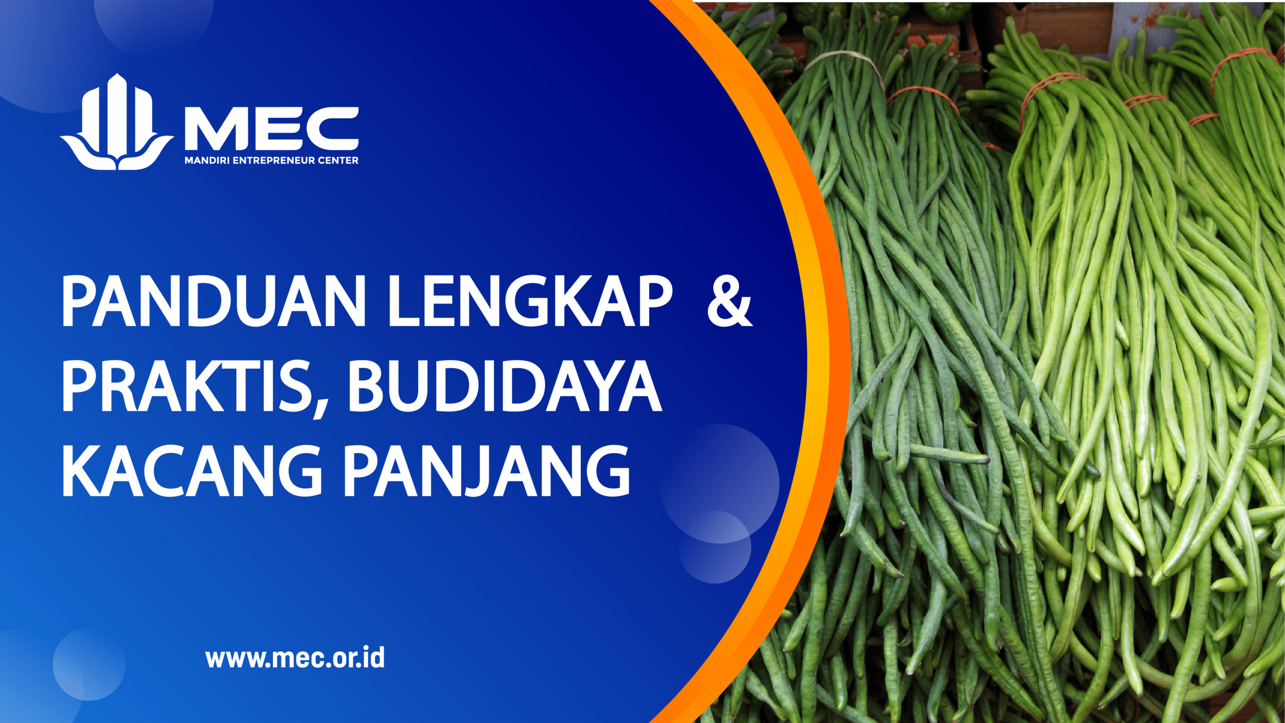 Budidaya Kacang Panjang